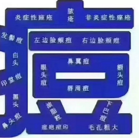 祛痘凍干粉加工